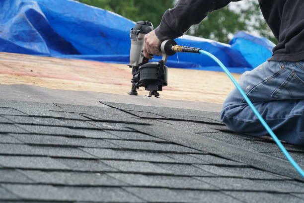 Best Roof Moss and Algae Removal  in Union City, PA